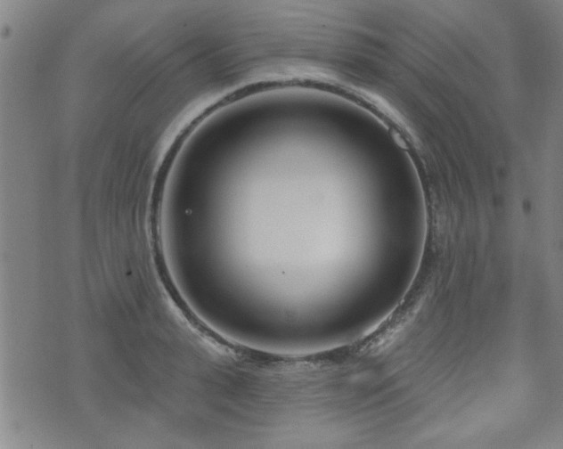 X0000072940943200607211058