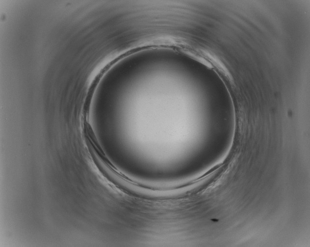 X0000072940944200607211058