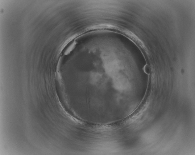 X0000072940945200607211058