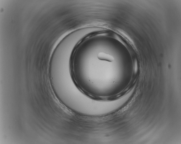 X0000072940948200607211058