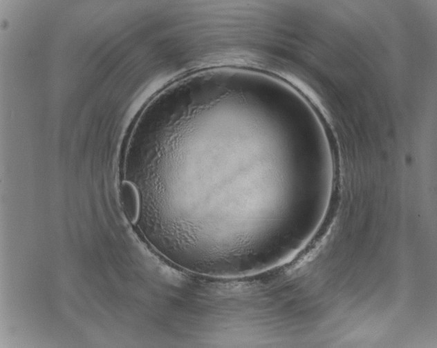 X0000072940949200607211058