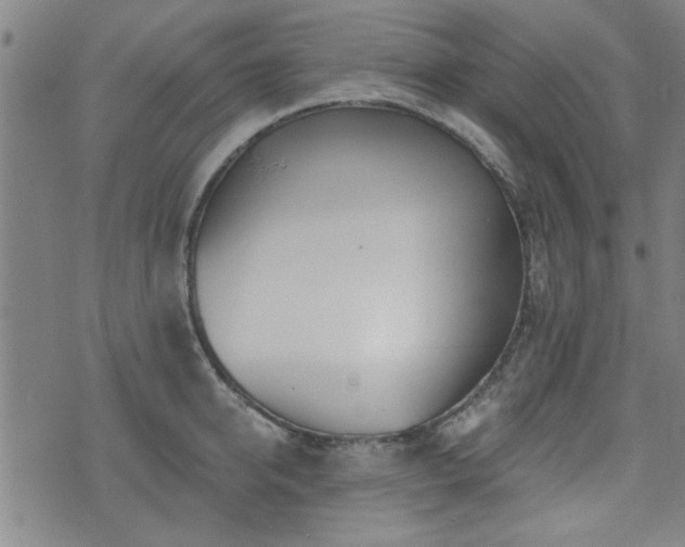 X0000072940950200607211058