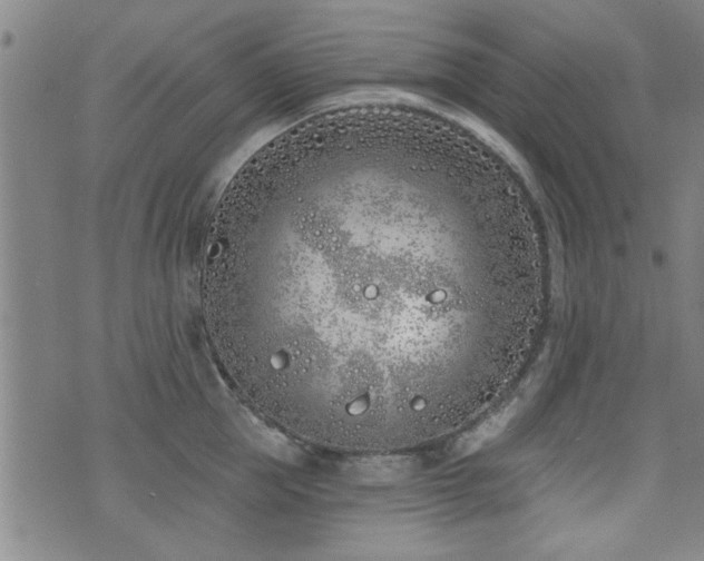 X0000072940953200607211058