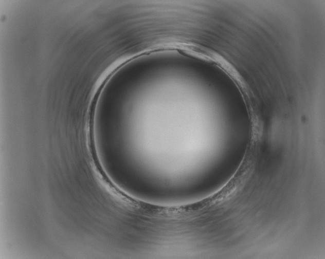 X0000072940955200607211058