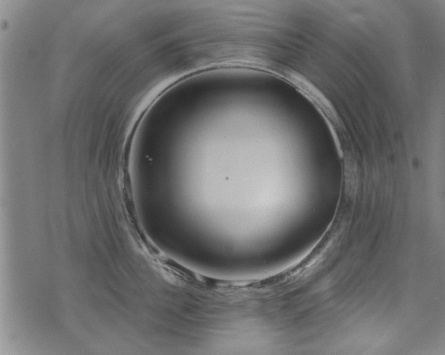 X0000072940956200607211058