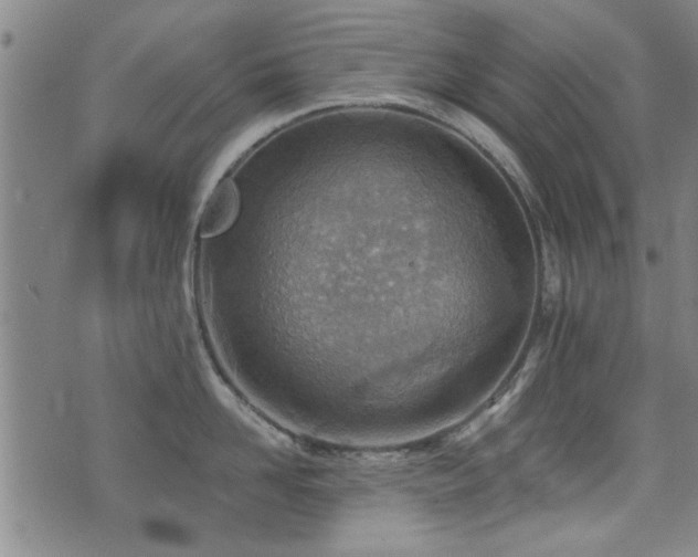 X0000072940958200607211058