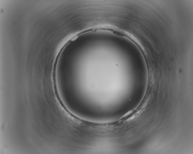 X0000072940959200607211058