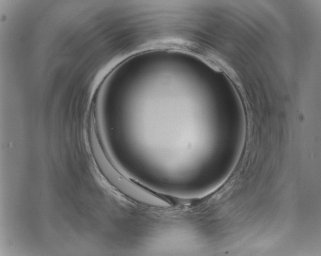 X0000072940960200607211058