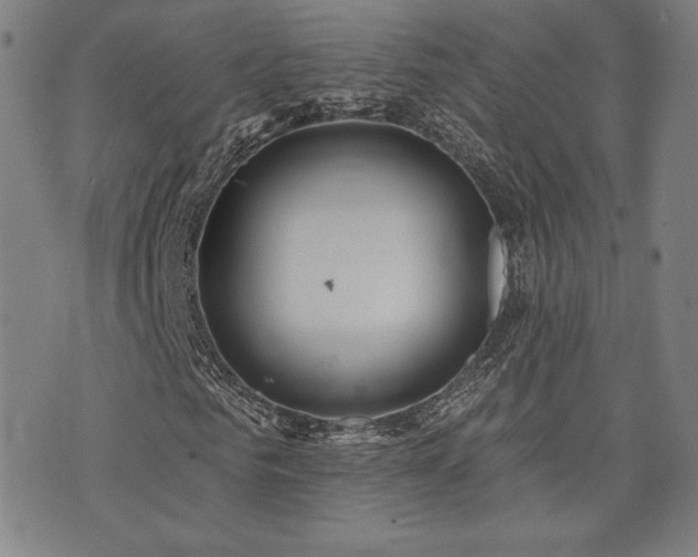 X0000072940961200607211058