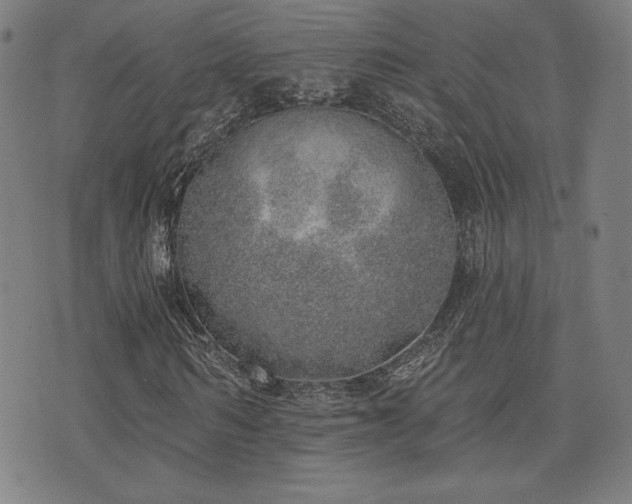 X0000072940962200607211058