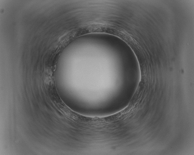 X0000072940964200607211057