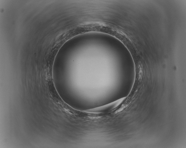 X0000072940965200607211057