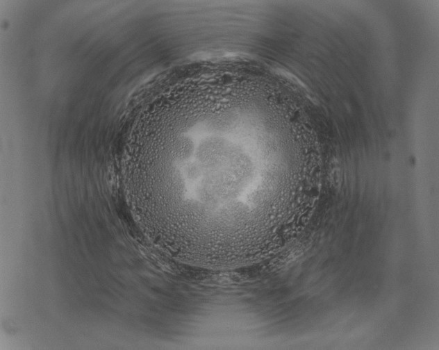 X0000072940966200607211057