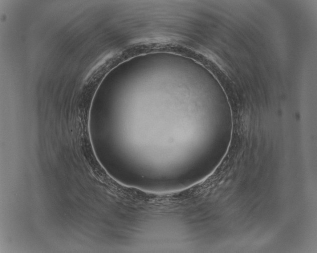 X0000072940967200607211057