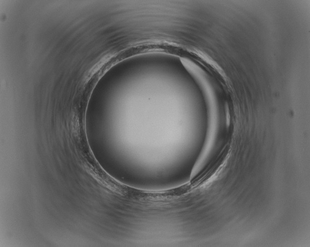 X0000072940969200607211057