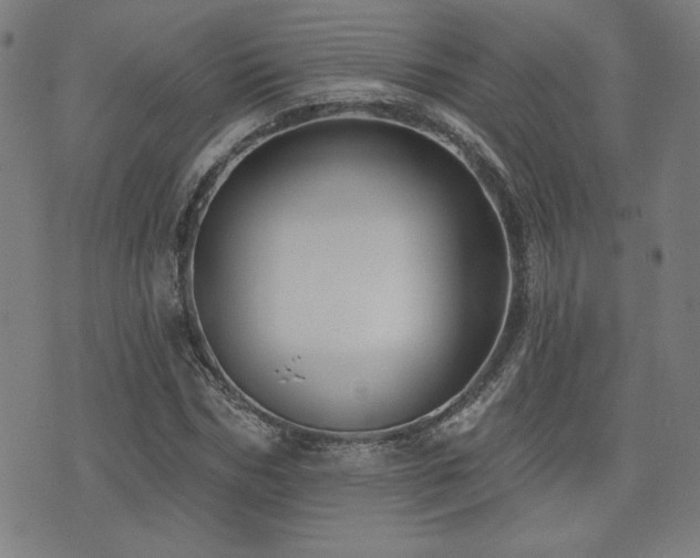 X0000072940970200607211057