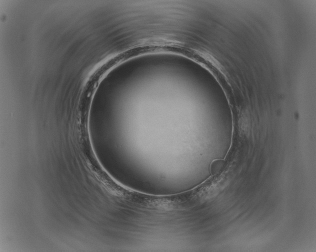 X0000072940971200607211057