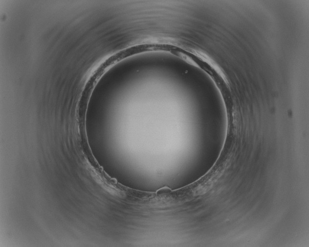 X0000072940972200607211057