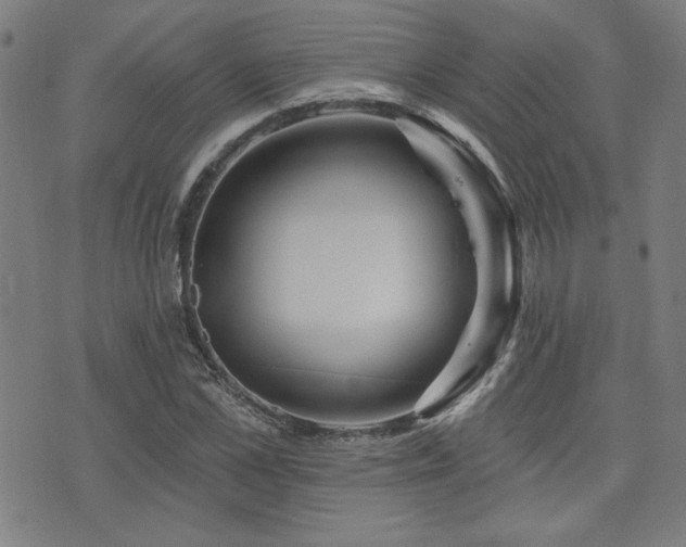 X0000072940973200607211057