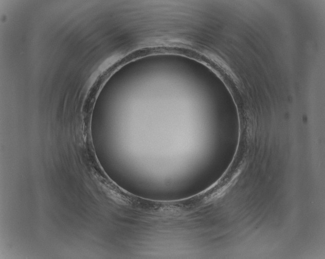 X0000072940974200607211057