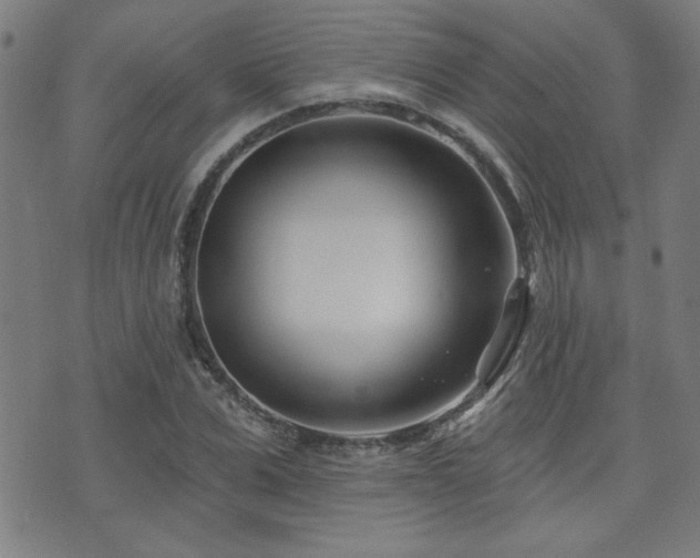 X0000072940975200607211057