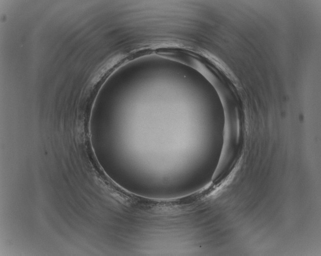 X0000072940977200607211057