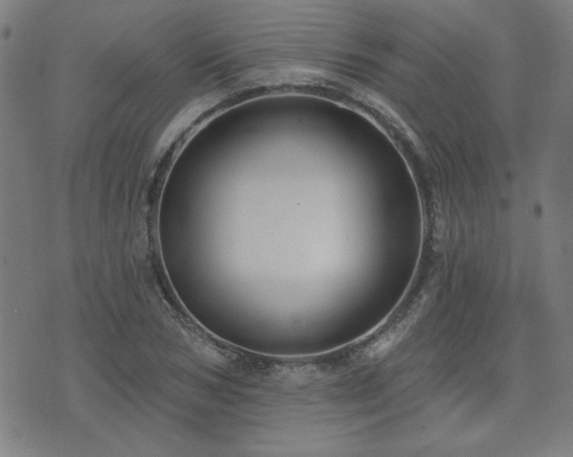 X0000072940978200607211057