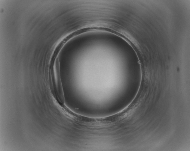 X0000072940980200607211057