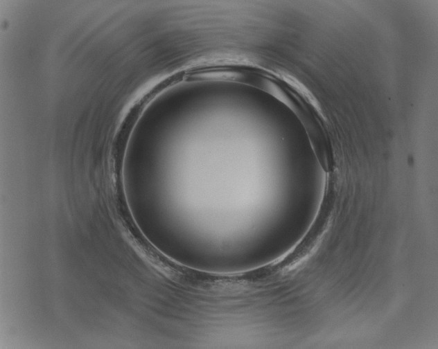 X0000072940981200607211057