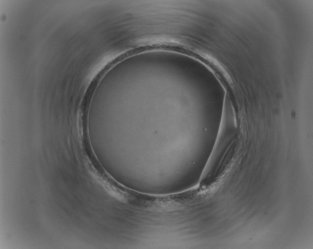 X0000072940983200607211057