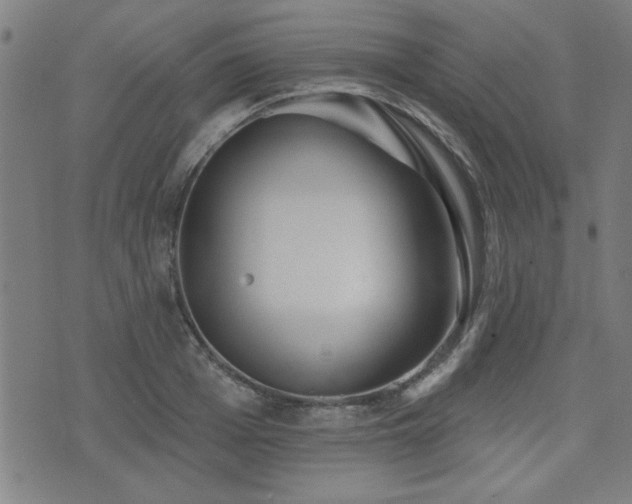 X0000072940985200607211057