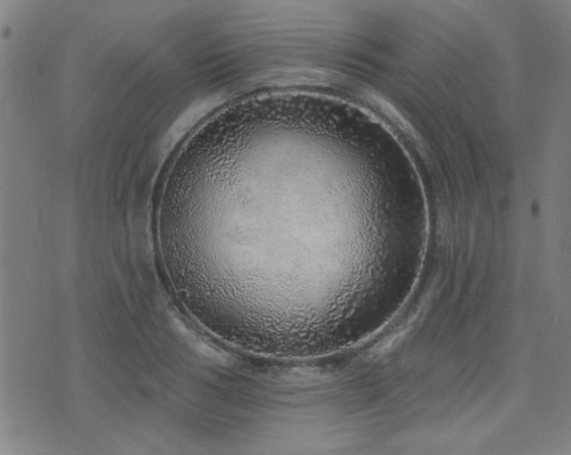 X0000072940986200607211057