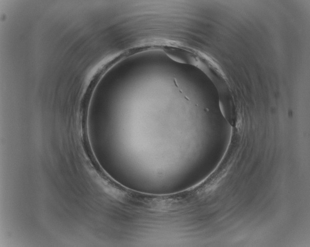 X0000072940987200607211057