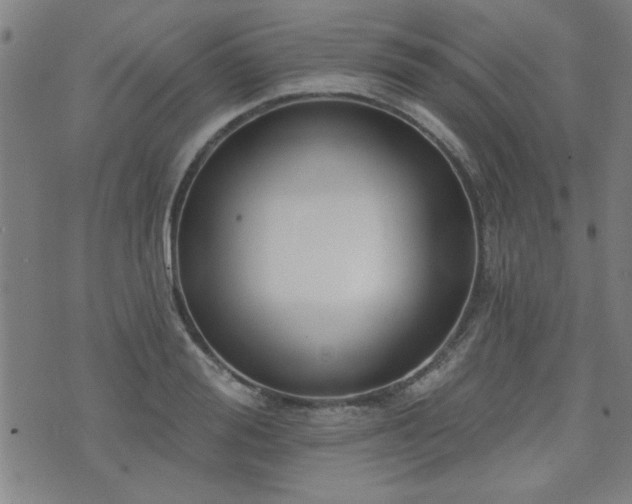 X0000072940988200607211057