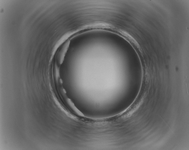 X0000072940989200607211057