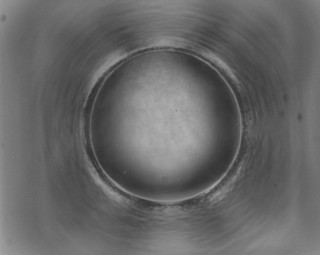 X0000072940991200607211057