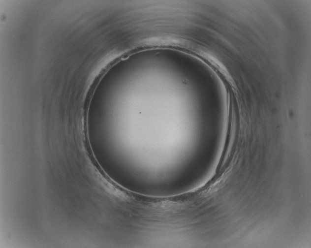 X0000072940992200607211057