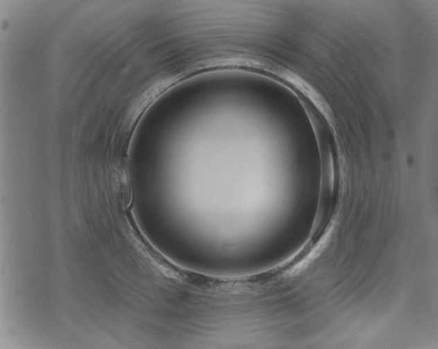 X0000072940993200607211057