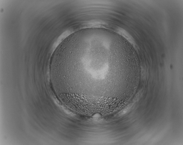 X0000072940994200607211057