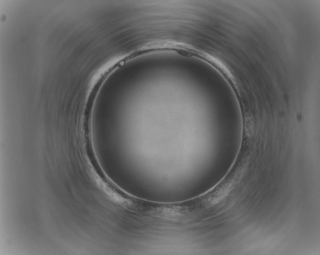 X0000072940995200607211057