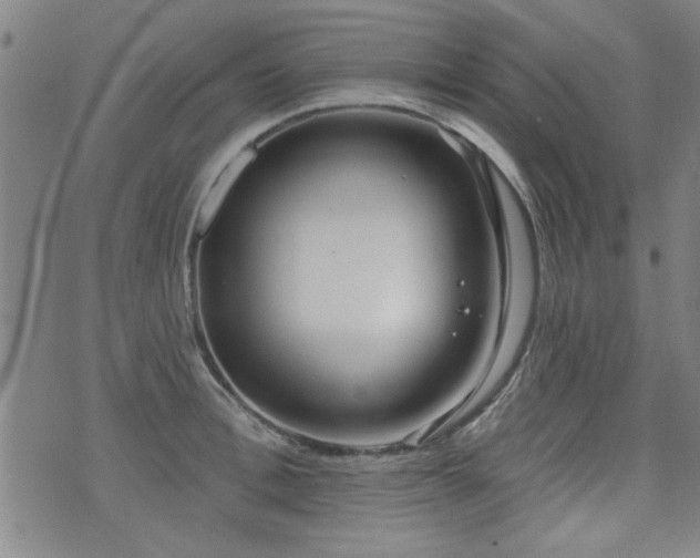 X0000072940996200607211057