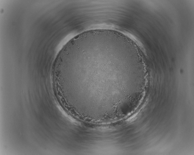 X0000072940998200607211057