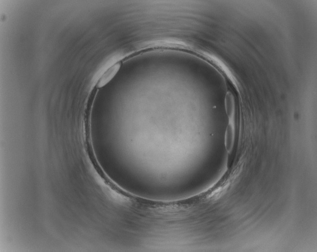 X0000072940999200607211057