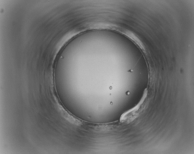 X0000072941000200607211057