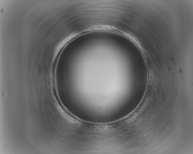 X0000072941003200607211057