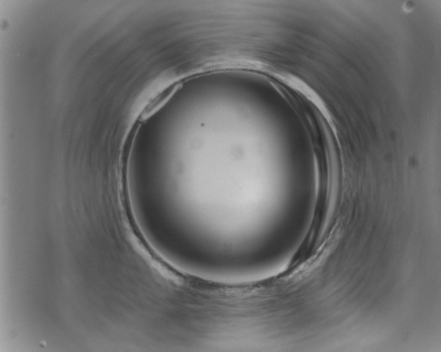 X0000072941005200607211057