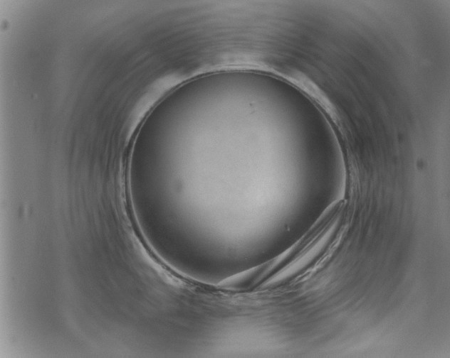 X0000072941006200607211057