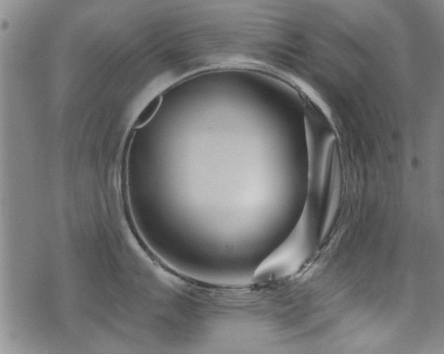 X0000072941007200607211057