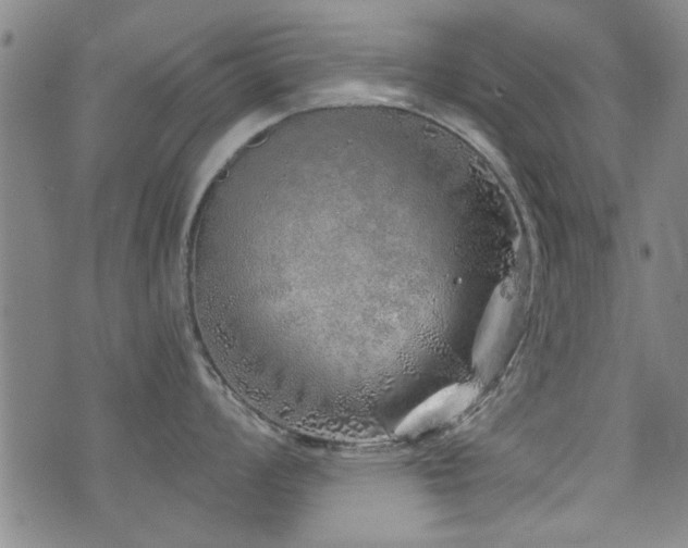 X0000072941008200607211057