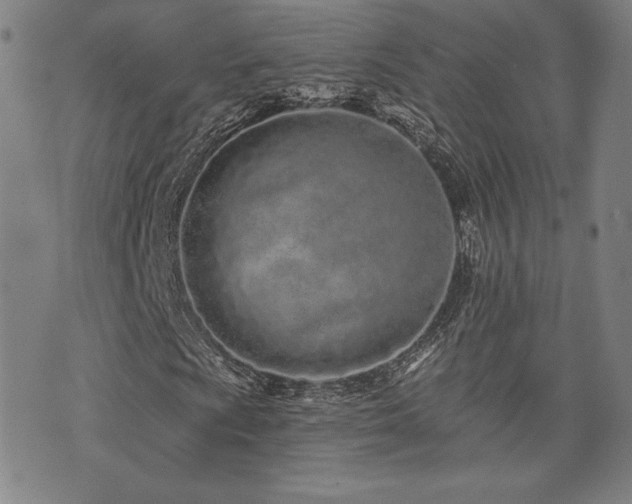 X0000072941009200607211056